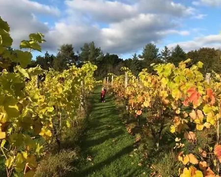 Egebjerggaard Penzion