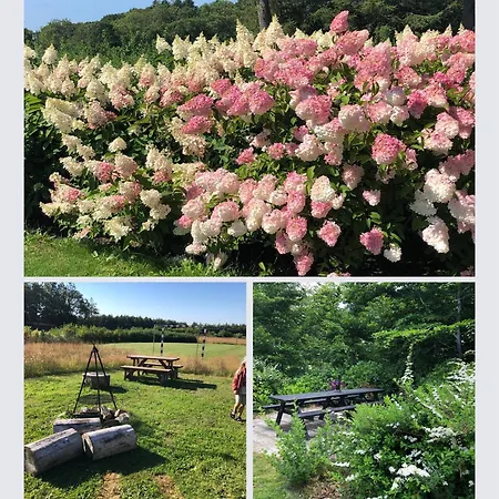 Egebjerggaard Vendégház