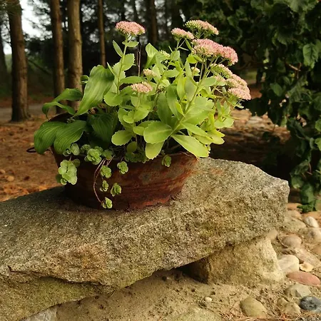 Egebjerggaard Penzion 3*